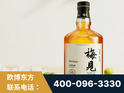 孟州-梅见青梅酒